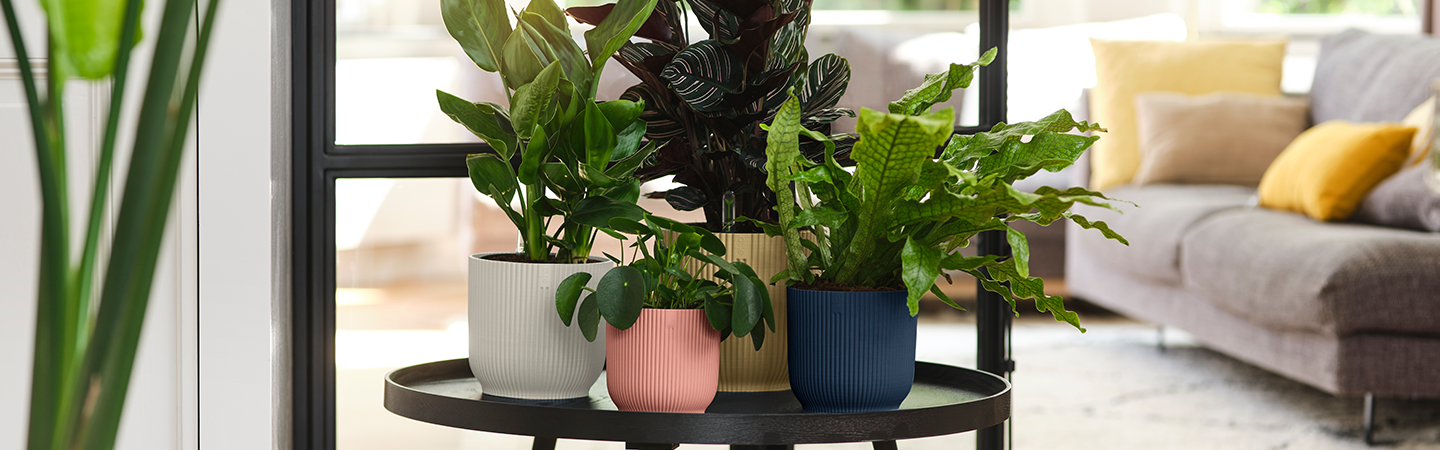 vibes fold rond 14cm sorbet groen